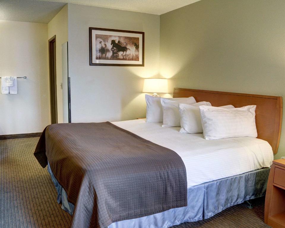 Quality Inn - thumb 1