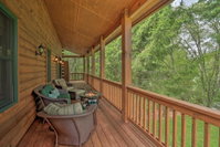 Quiet Forest Hideaway with Deck  Near Hiking Tourism Bookings