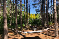 Red Pine Retreat Tourism Bookings