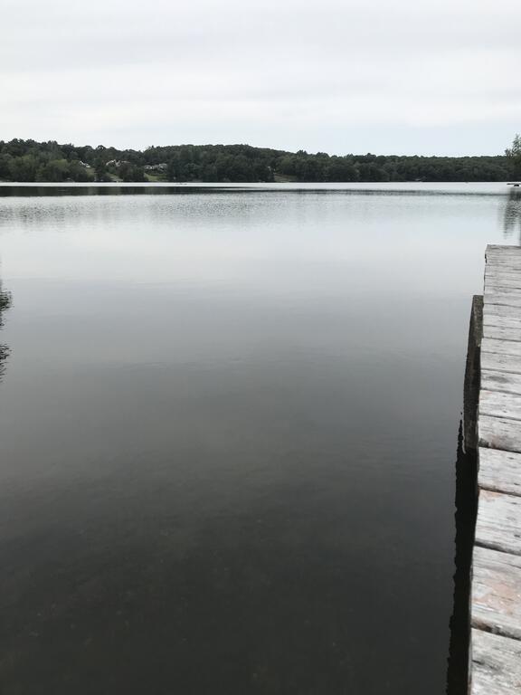 Reel Simple Bolton Lake Cottage - thumb 0