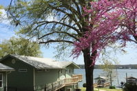 Relaxing Cedar Creek Lake House Tourism Bookings