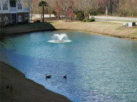 River Crossing Condo 322 Tourism Bookings