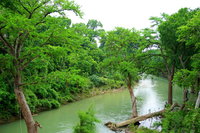 Booking Martindale USA Accommodation