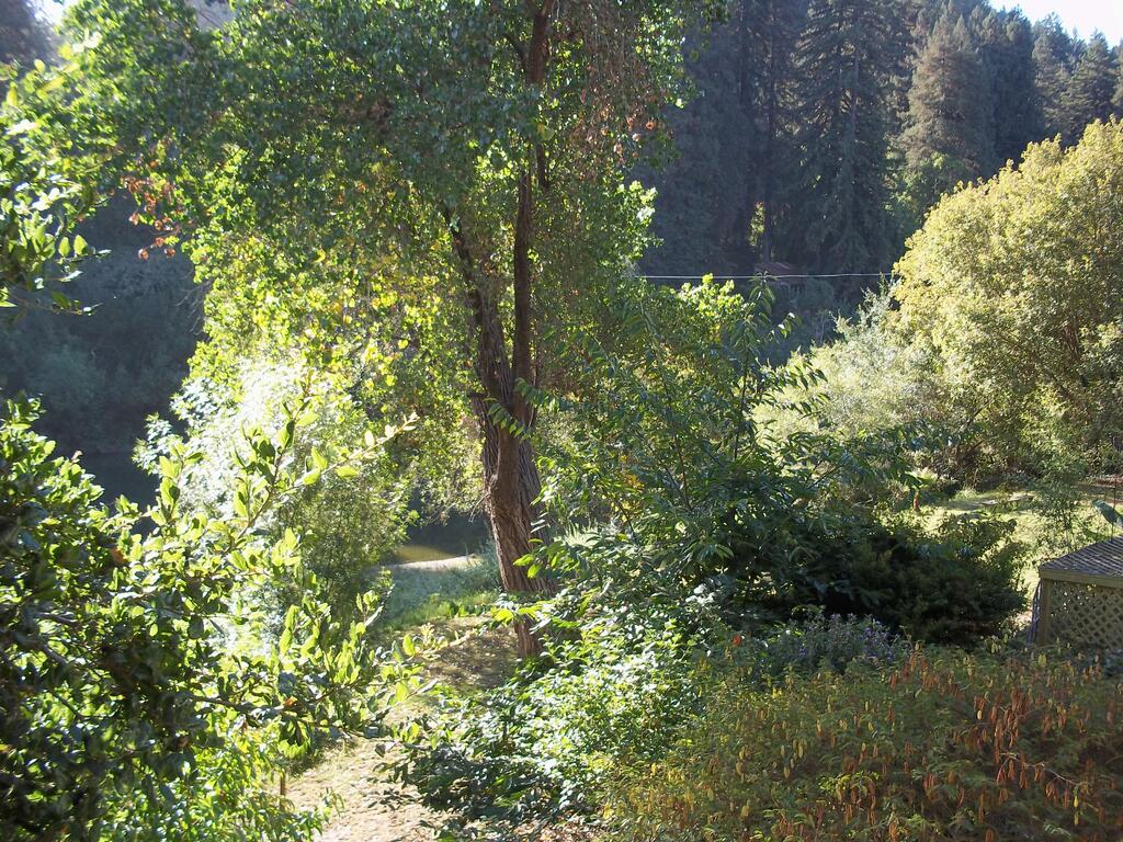 River View Garden Resort - thumb 2