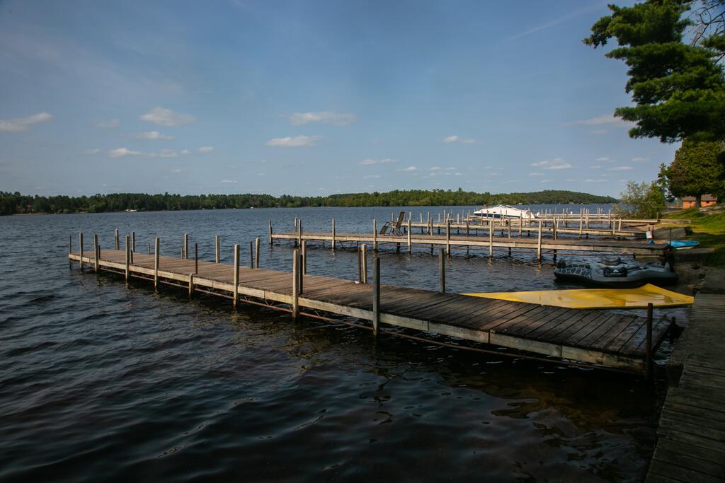 Roy's Last Resort - thumb 1