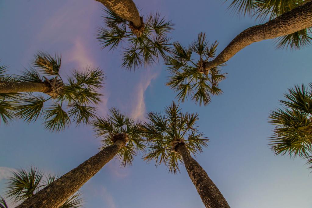 Runaway Bay Condos - thumb 2