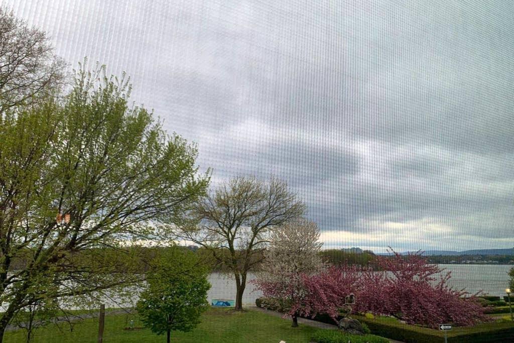 Rustic Riverfront Retreat In Midtown Harrisburg Near Hershey - thumb 3