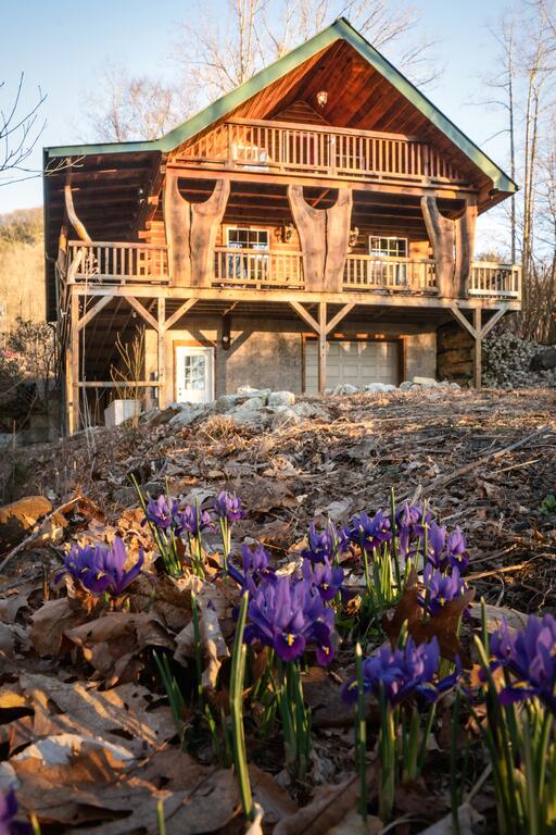 Rustys Roost - thumb 3