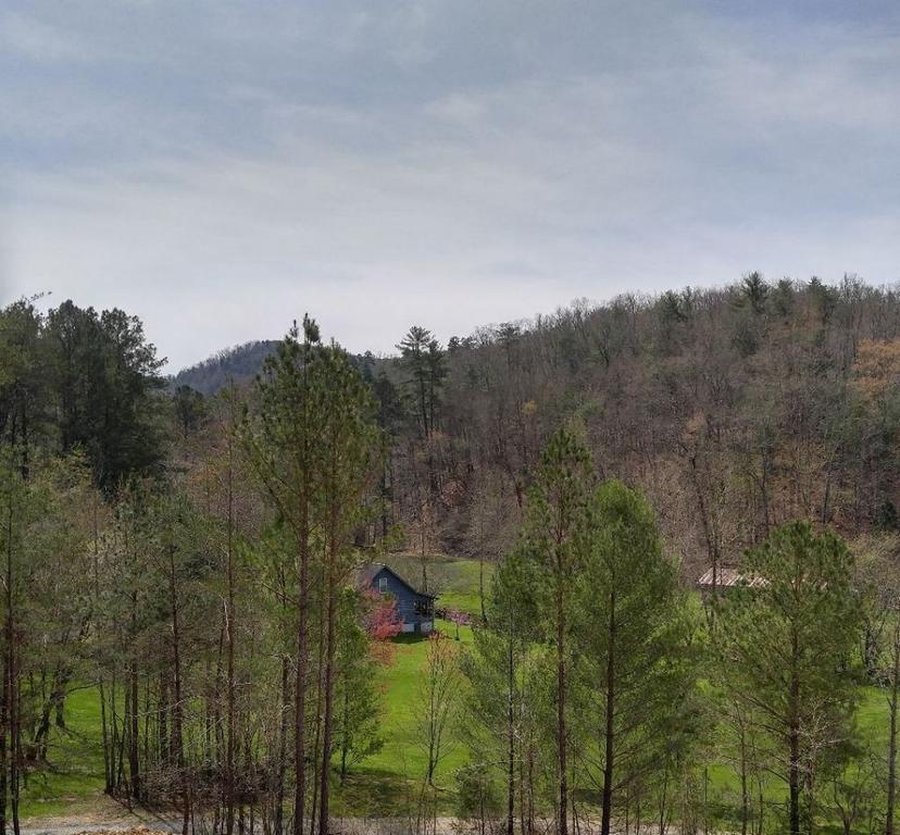 Sapphire Bear - 2 Bedrooms, 1 Baths, Sleeps 4 Home - thumb 2