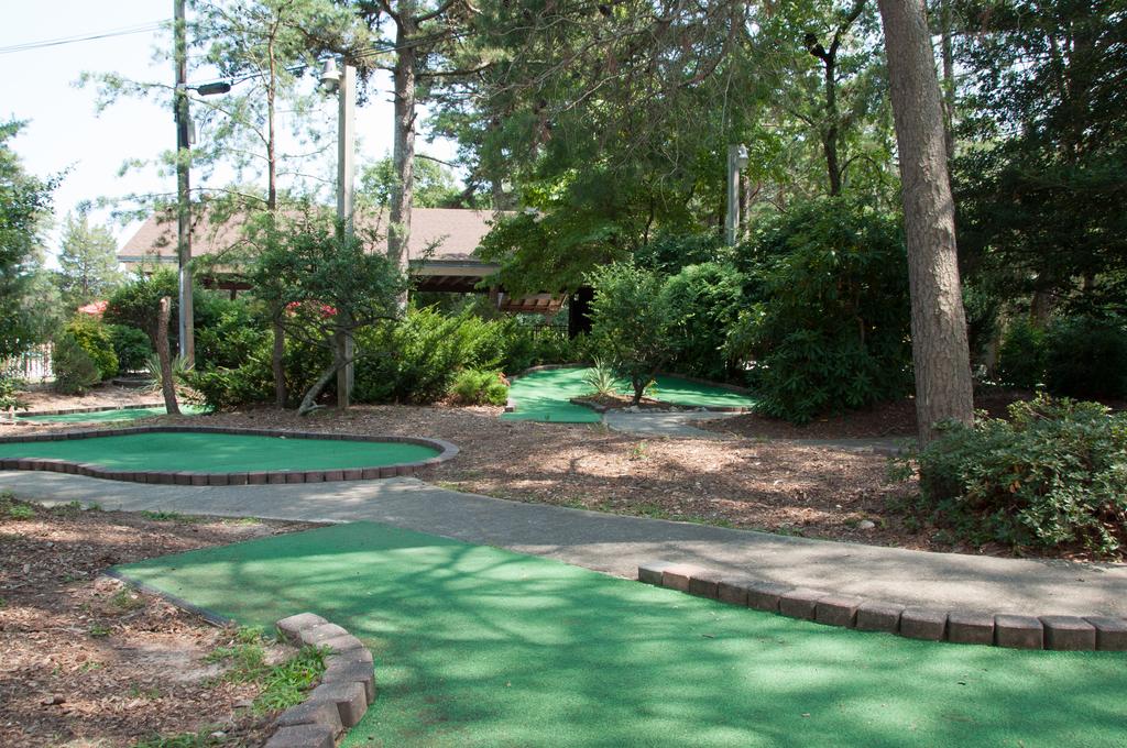Sea Pines Park Model 2 - thumb 3