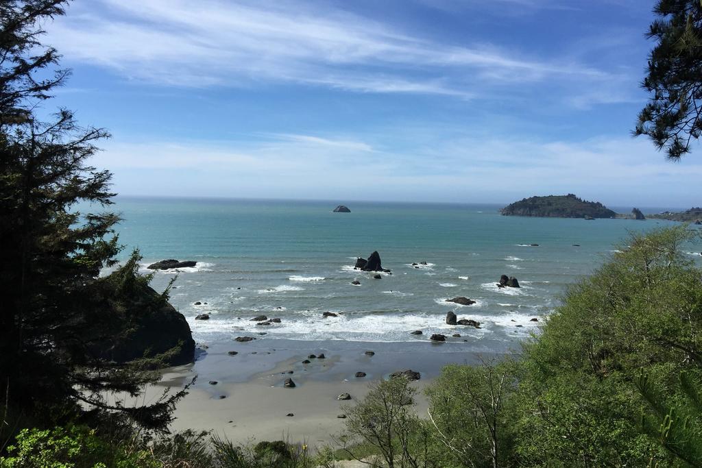 Seaside Meadow - thumb 1