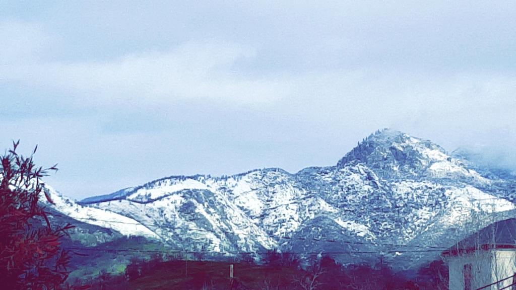 Sequoia Riverfront Cabins - thumb 1