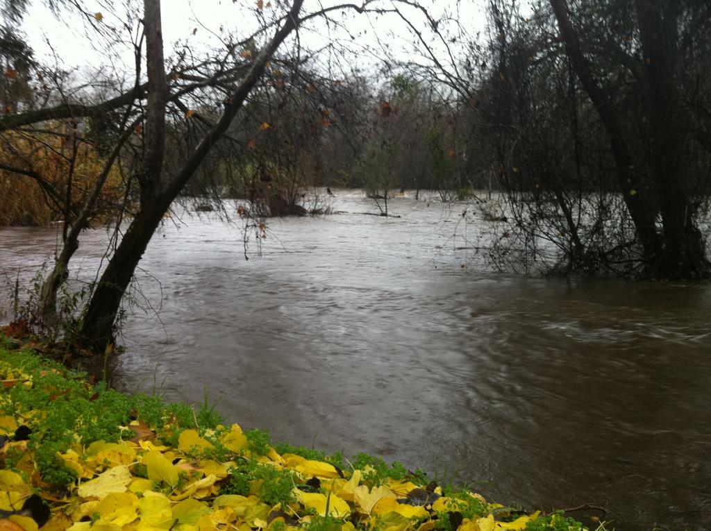 Sequoia Riverfront Cabins - thumb 0
