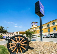 Sleep Inn  Suites near Palmetto State Park - Tourism Bookings