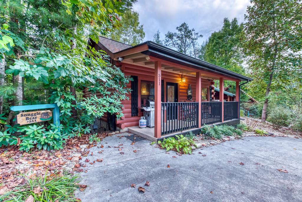 Snuggle Bear - thumb 0