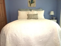 Softest Bed in Michigan Blue Room BNB Tourism Bookings