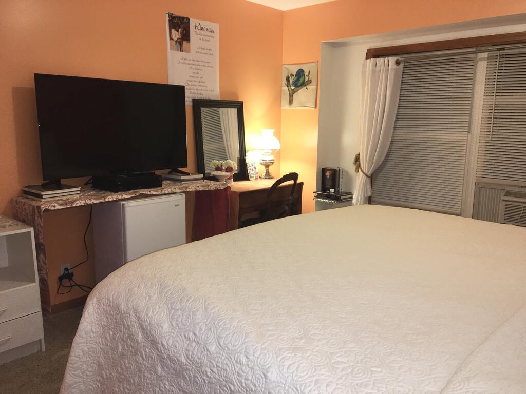 Softest Bed In Michigan Orange Room BNB - thumb 2