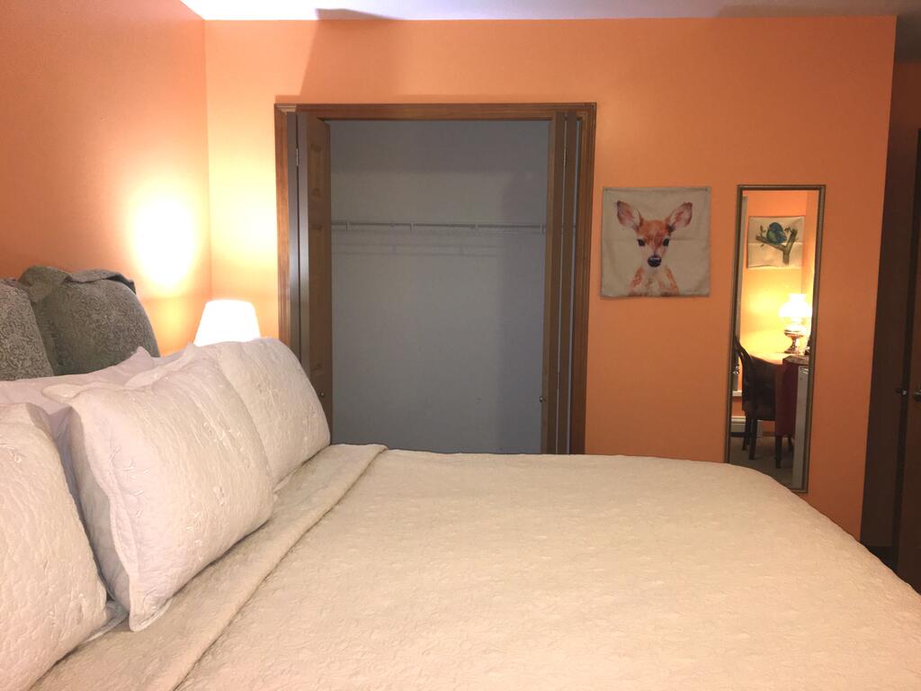 Softest Bed In Michigan Orange Room BNB - thumb 1
