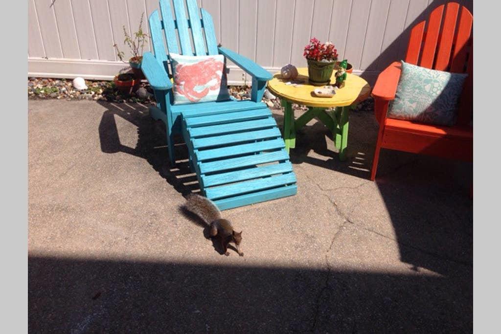 Sorobon By The Sea - thumb 1