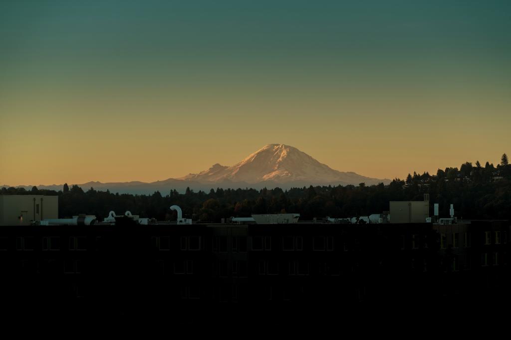 Staypineapple, Watertown, University District Seattle - thumb 1