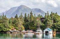 Book Halibut Cove Hotels, USA Accommodation USA Accommodation