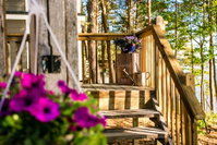 Studio Cabin with Private Porch 27 at Long Cove Resort bungalow Tourism Bookings