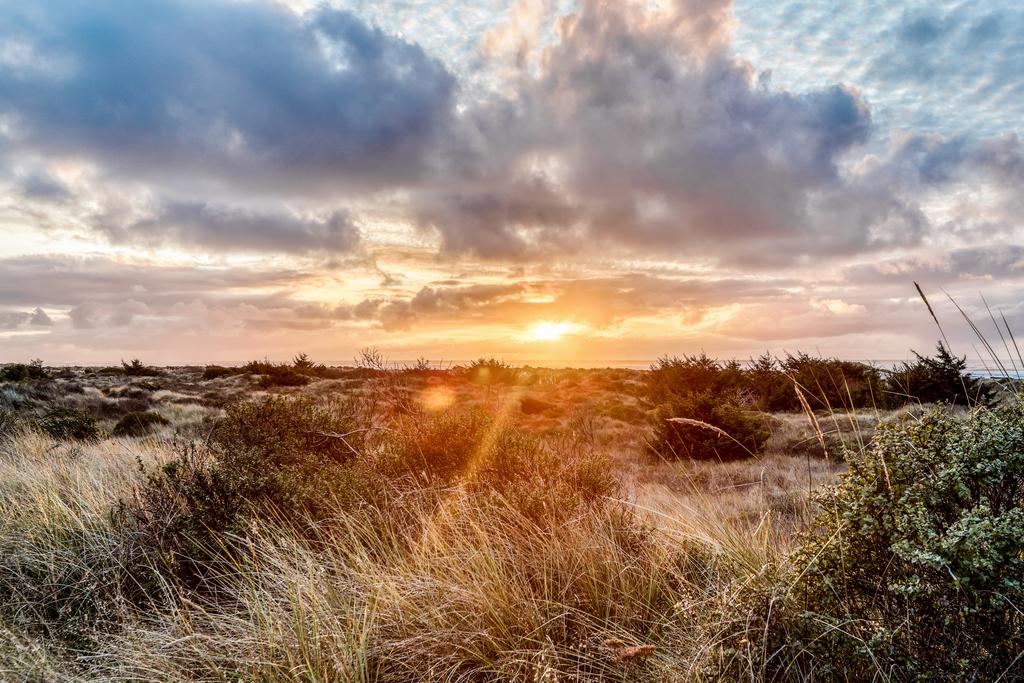 Stylish Cabin - thumb 2