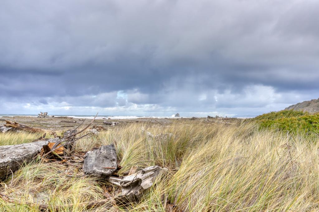 Stylish Cabin - thumb 1