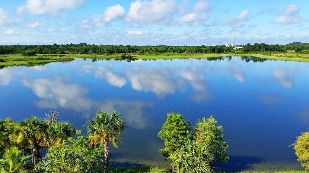 Summer Breeze - thumb 3