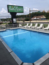 Sunflower Inn Tourism Bookings