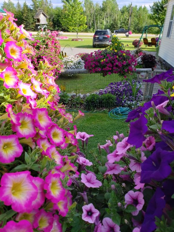 Sunset Motel Of St. Ignace - thumb 3