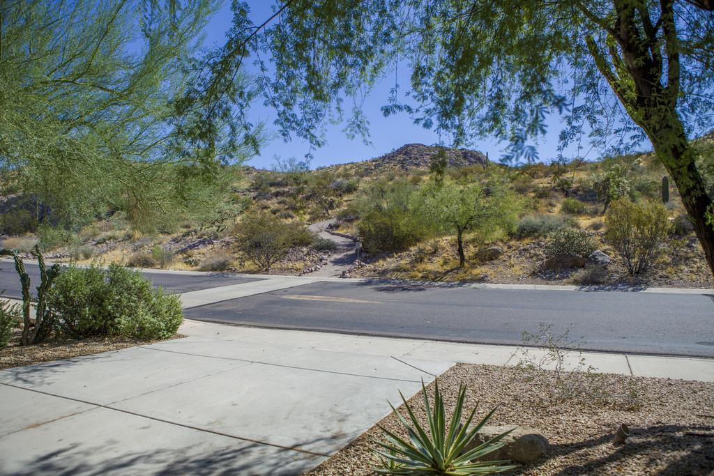 Sunset Oasis By KABINO - thumb 2