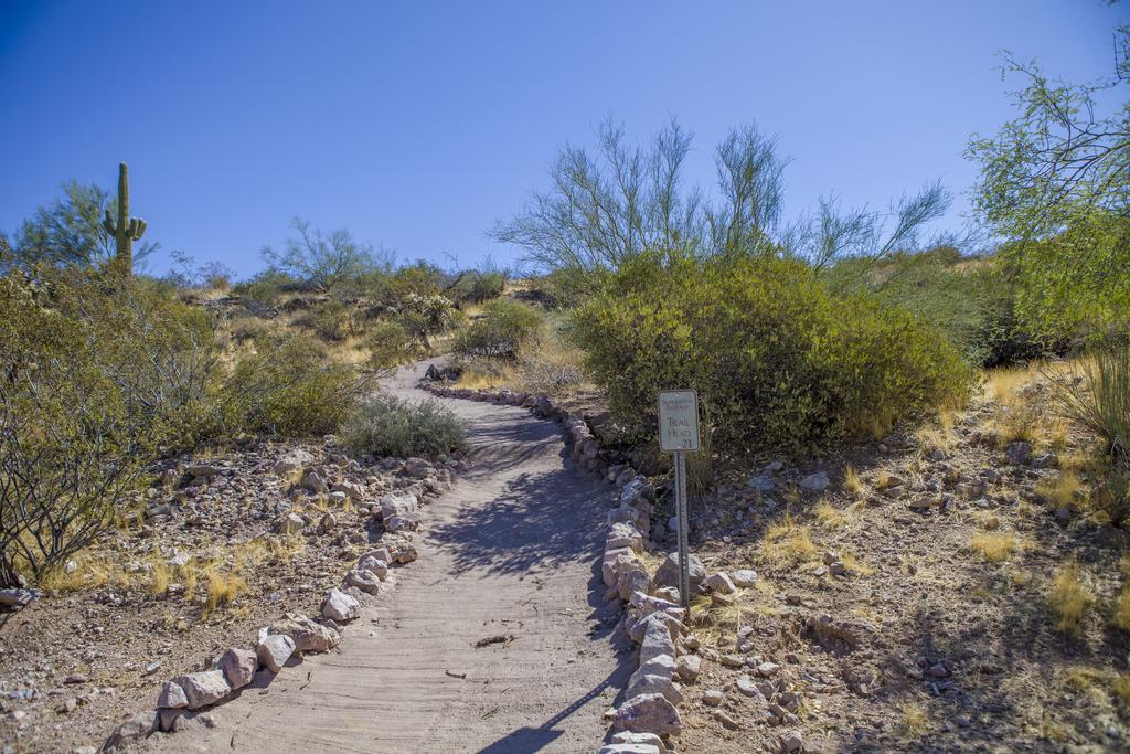 Sunset Oasis By KABINO - thumb 3