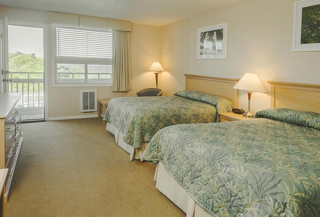 Surfcomber On The Ocean - thumb 2