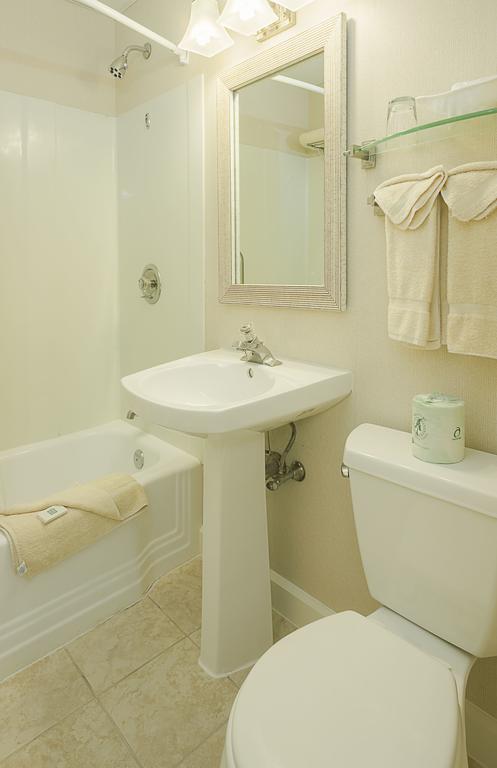 Surfcomber On The Ocean - thumb 3