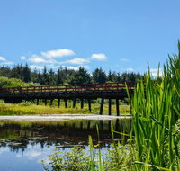 Surfcrest Vacation Condominiums a VRI resort - Tourism Bookings