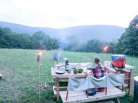 Booking Arkville Tourism Bookings