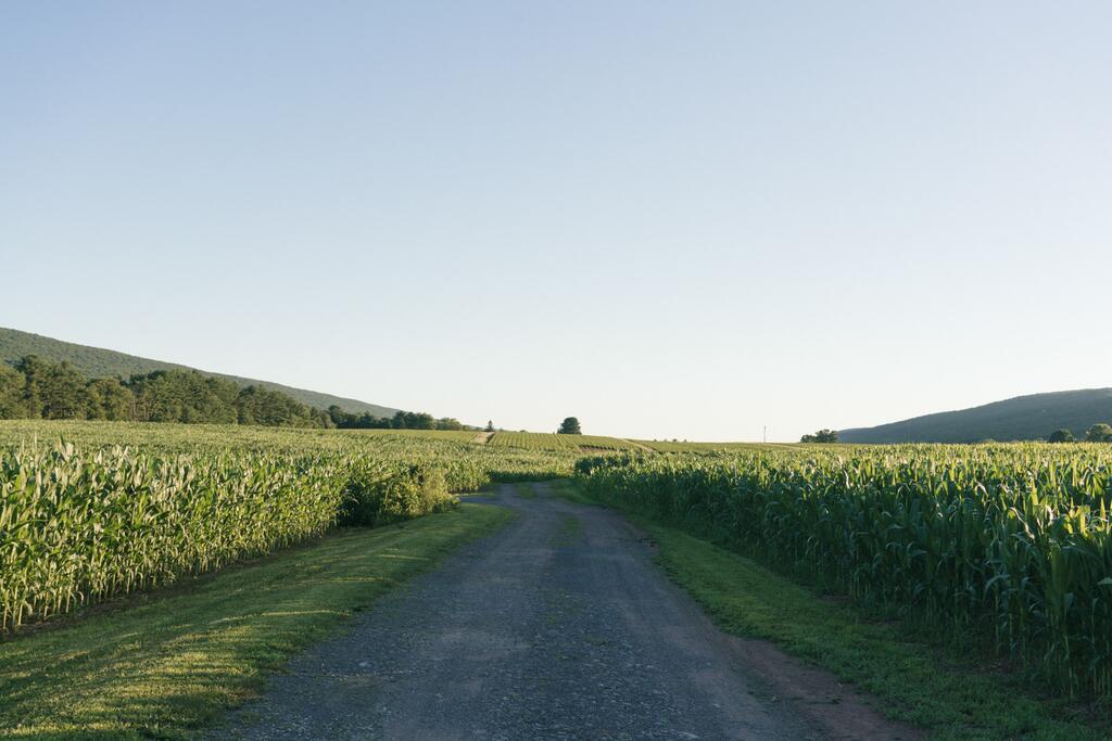 Tentrr - GoldMine Hideaway - thumb 0