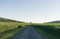 Tentrr - GoldMine Hideaway Tourism Bookings