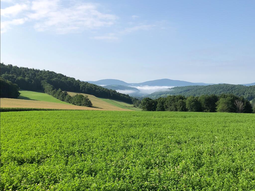 Tentrr - Hilltop Getaway - thumb 0