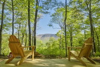 Booking Bearsville Tourism Bookings