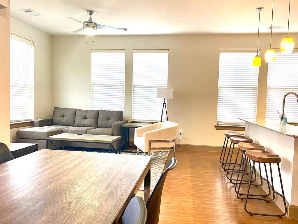 Texas Corporate Housing Solutions Professional Apt - thumb 1