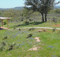 Texas T Bed and Breakfast - Tourism Bookings