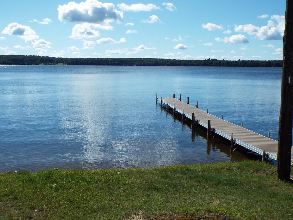 The Bella Loon - thumb 1
