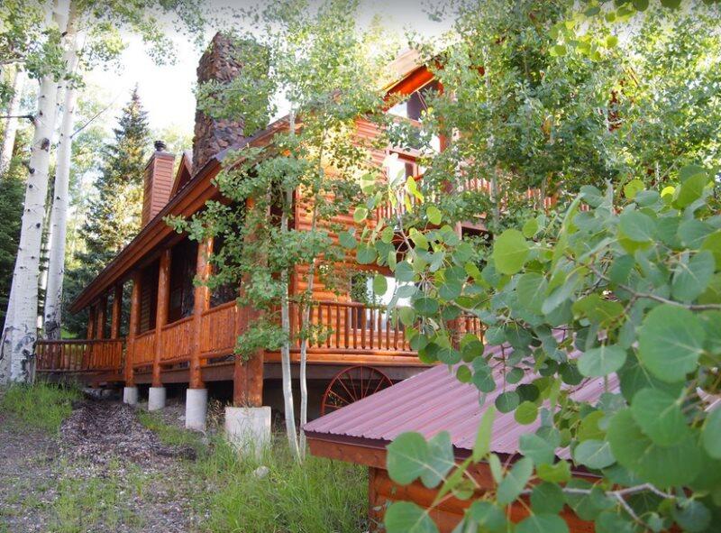 The Bison At Panguitch Lake - thumb 1