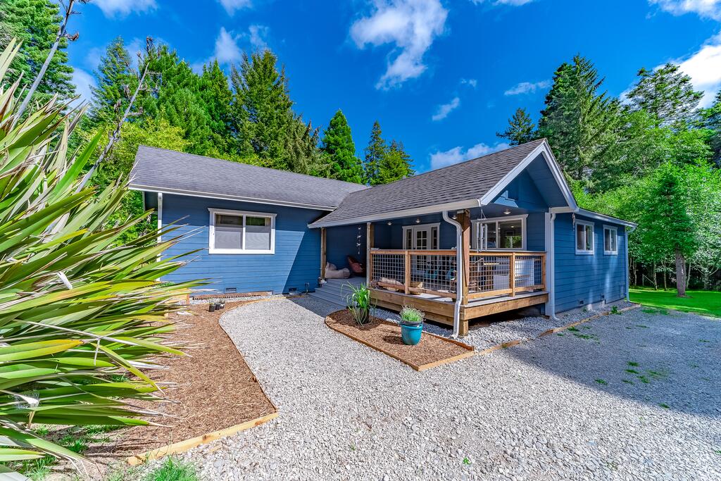 The Blue Llama - thumb 0