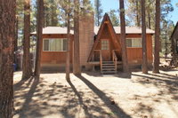 The Cozy Osito Tourism Bookings