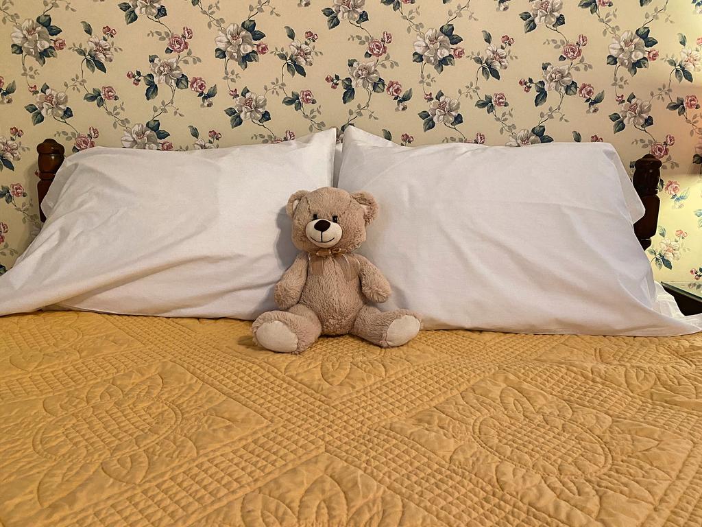 The Dancing Bear Inn - thumb 0