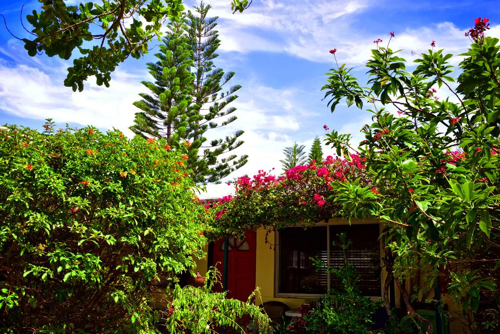 The Desoto - Oceanview Inn