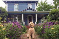 The I.L. Smith House Tourism Bookings